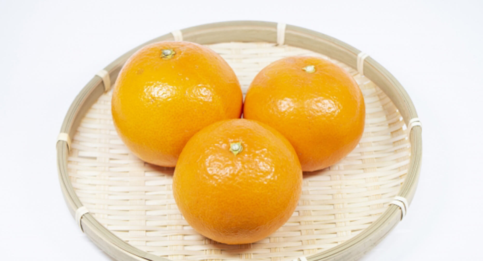 天草で「天草」、おいしさ無双。 その2