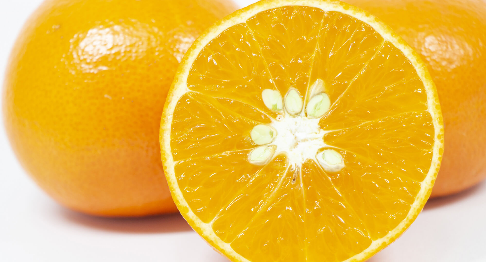 天草で「天草」、おいしさ無双。 その2