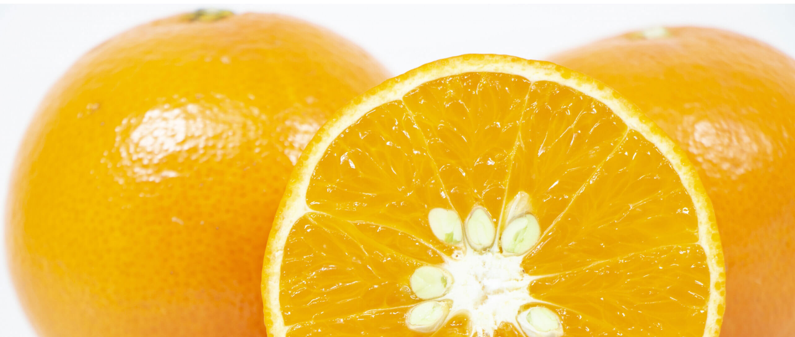 天草で「天草」、おいしさ無双。